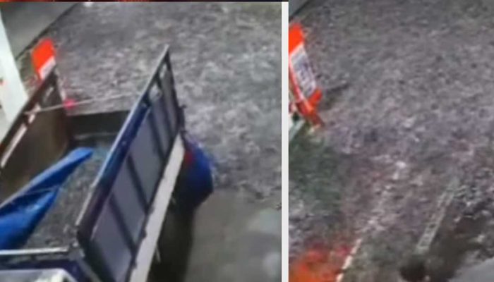 SPBU di Klaten Mendadak Viral Usai Ribuan Lele Tumpah di Area Pengisian BBM