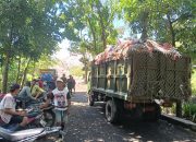 Gerak Cepat, Bupati Jember Wajibkan Pengelolaan Sampah Mandiri dan Revitalisasi TPA Pakusari