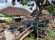 Hujan Lebat Disertai Angin Kencang Rusak Sejumlah Rumah di Jember, Tanpa Korban Jiwa