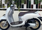 Honda Scoopy Bekas Tahun 2020 Masih Berkilau di Harga Rp14 Jutaan!