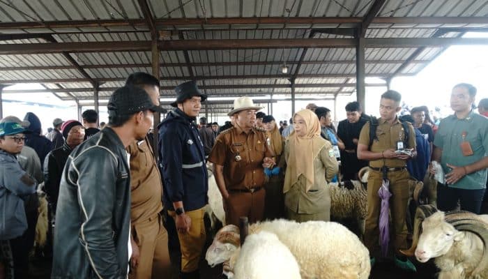 Jelang Iduladha, Bupati Garut Sidak Pasar Hewan Bayongbong: Domba Garut Dipastikan Sehat