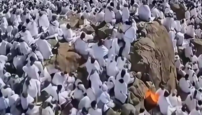 Jutaan Jemaah Haji Padati Padang Arafah Hari Ini untuk Wukuf, Cuaca Terik Warnai Puncak Haji 2026