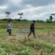 Idul Adha