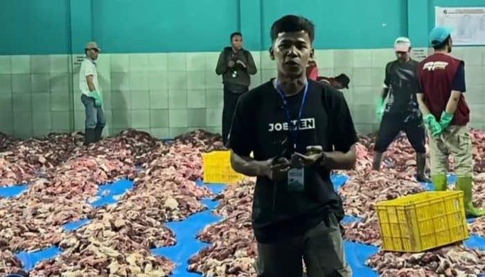Luar Biasa, RW di Batur Dieng Pecahkan Rekor Kurban 52 Sapi dan 345 Kambing!