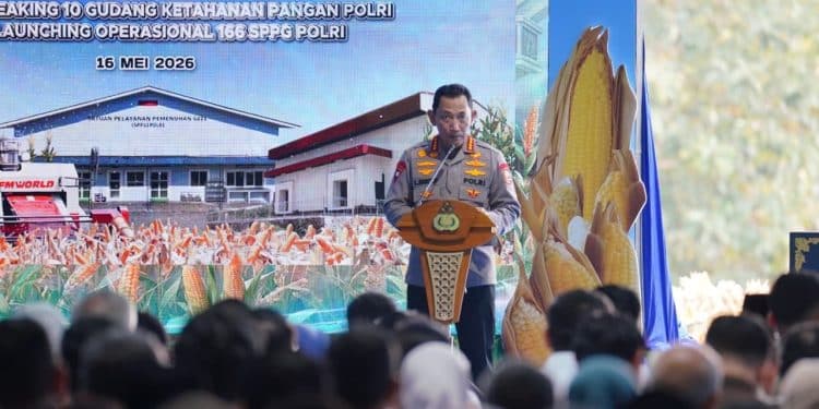 Program SPPG Diproyeksikan Serap Ribuan Tenaga Kerja