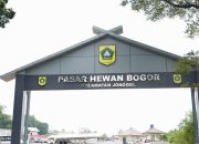 Menuju Peresmian, Pasar Hewan Jonggol Belum Sepenuhnya “Beres”