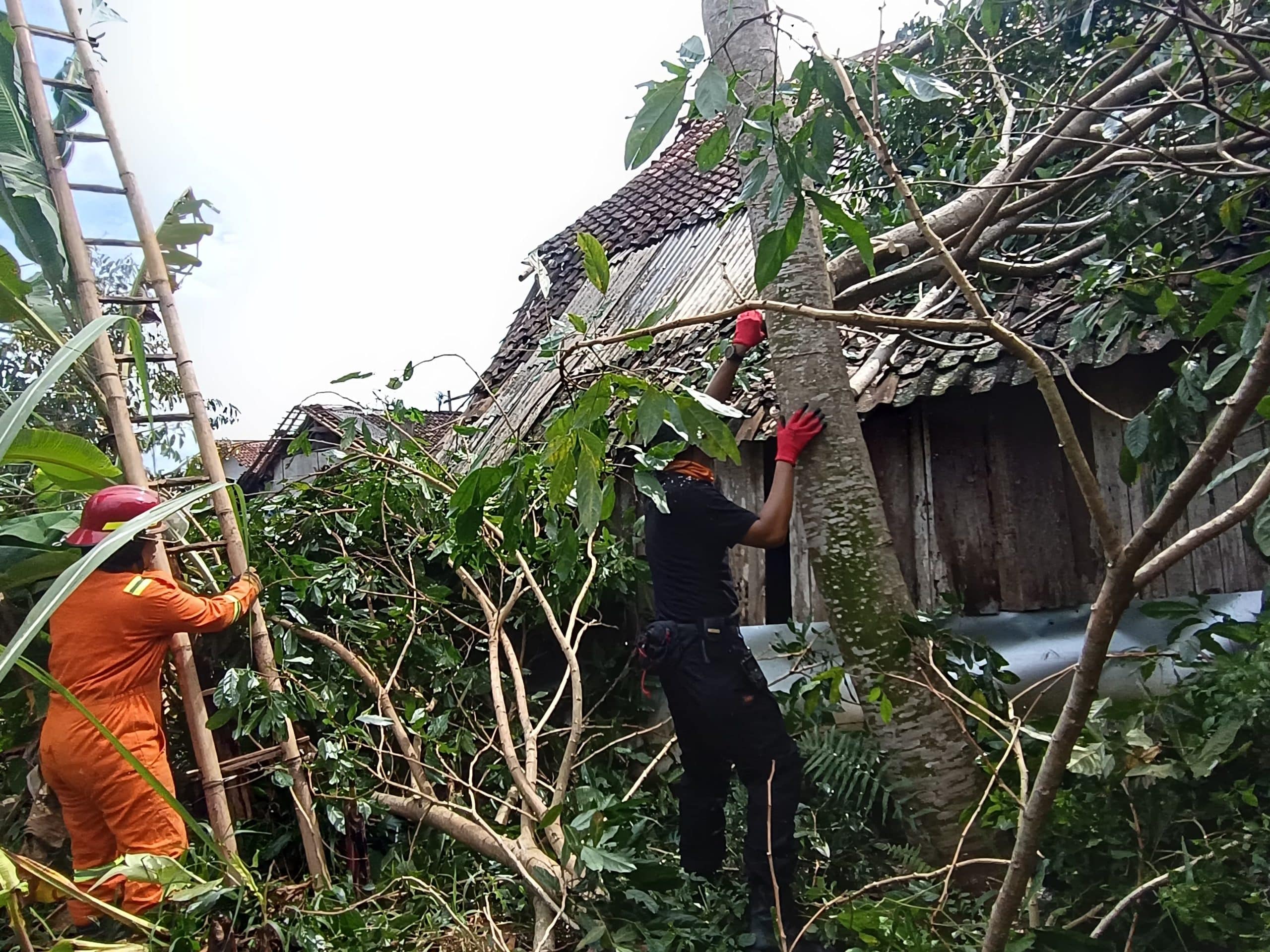 Angin Kencang Landa Tanggul dan Wuluhan Jember, BPBD Bergerak Cepat Tangani Dampak
