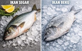 ikan segar dan ikan beku