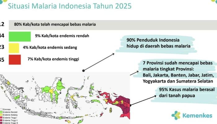 80 Persen Wilayah Indonesia Sudah Bebas Malaria, Tapi Kasus di Papua Masih Jadi Alarm Serius