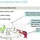 malaria di Indonesia