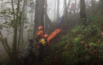 Sempat Dihentikan, Operasi SAR Gunung Batukaru Dibuka Lagi Setelah Jasad Pendaki Lansia Ditemukan di Jurang 4 Basarnas Bali