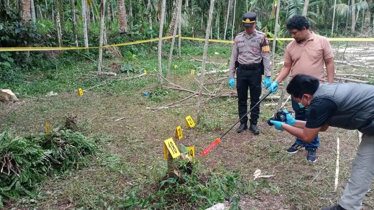 Carok Tukang Ngarit di Lumajang