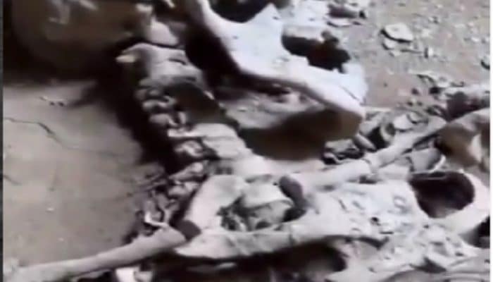 Penemuan Mengejutkan di Gua Thailand: Kerangka Berukuran Raksasa dan Sisa Ular Purba, Bukti Manusia Raksasa Pernah Ada?