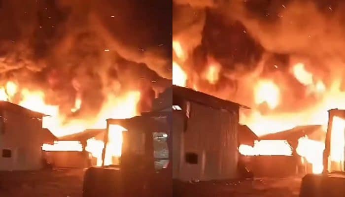Kebakaran Gudang Oli di Jakarta Utara, Sebanyak 20 Unit Damkar Dikerahkan