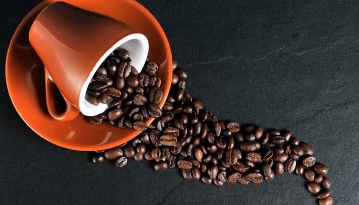 Meski Berada di Satu Pulau Timor, Kopi Timor Leste Berbeda dengan Kopi di NTT