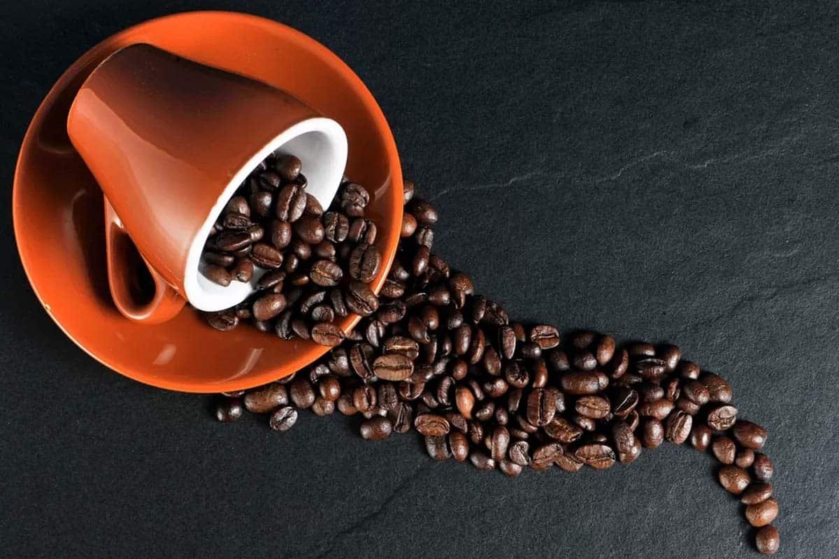kopi timor