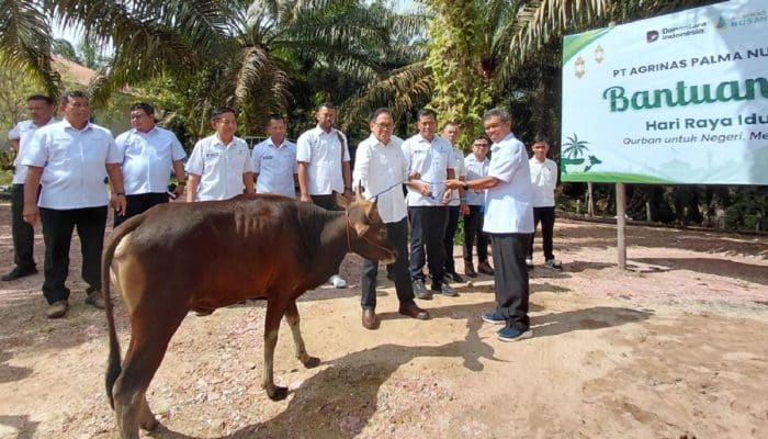 Agrinas Palma Nusantara Salurkan Hewan Kurban di Berbagai Wilayah Operasional Indonesia