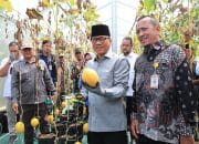 Mendes Yandri Kagum! Desa Tuntang Raup Rp1,6 Miliar dari Lele dan Melon, Siap Jadi Contoh Nasional
