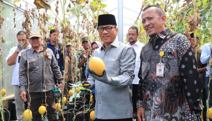 Mendes Yandri Kagum! Desa Tuntang Raup Rp1,6 Miliar dari Lele dan Melon, Siap Jadi Contoh Nasional