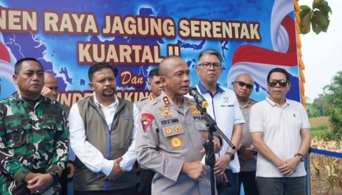 Petani Gembira Dapat KUR, Panen Raya Jagung Polda Jabar Capai 230 Hektar!