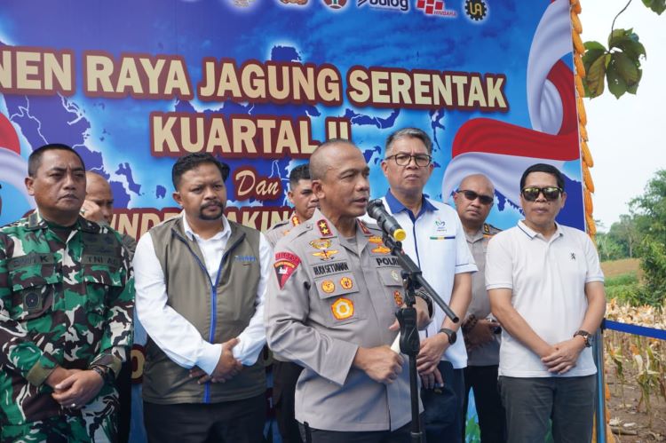 petani 8