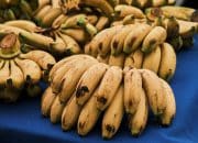 Studi 20 Tahun Harvard Ungkap Khasiat Pisang, Disebut Bisa Bantu Panjang Umur dan Jaga Jantung