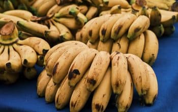 pisang