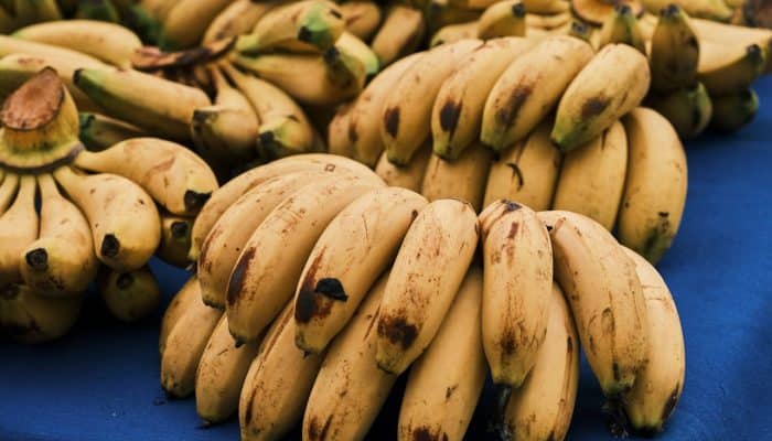 Studi 20 Tahun Harvard Ungkap Khasiat Pisang, Disebut Bisa Bantu Panjang Umur dan Jaga Jantung