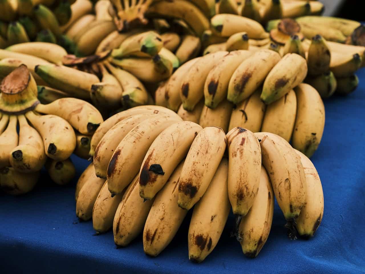 pisang