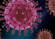 Waspada! Wabah Ebola di Kongo Tewaskan Lebih dari 200 Orang, 10 Negara Afrika Masuk Zona Risiko