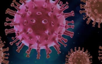 wabah virus ebola