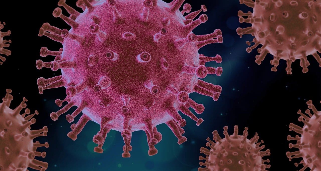 wabah virus ebola