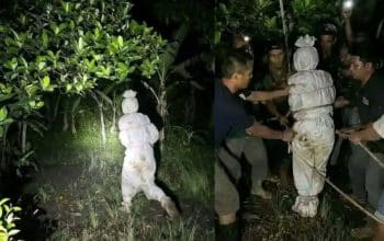 pocong jember