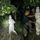Polisi Amankan Pocong Viral di Sosial Media yang Meresahkan Warga Jember