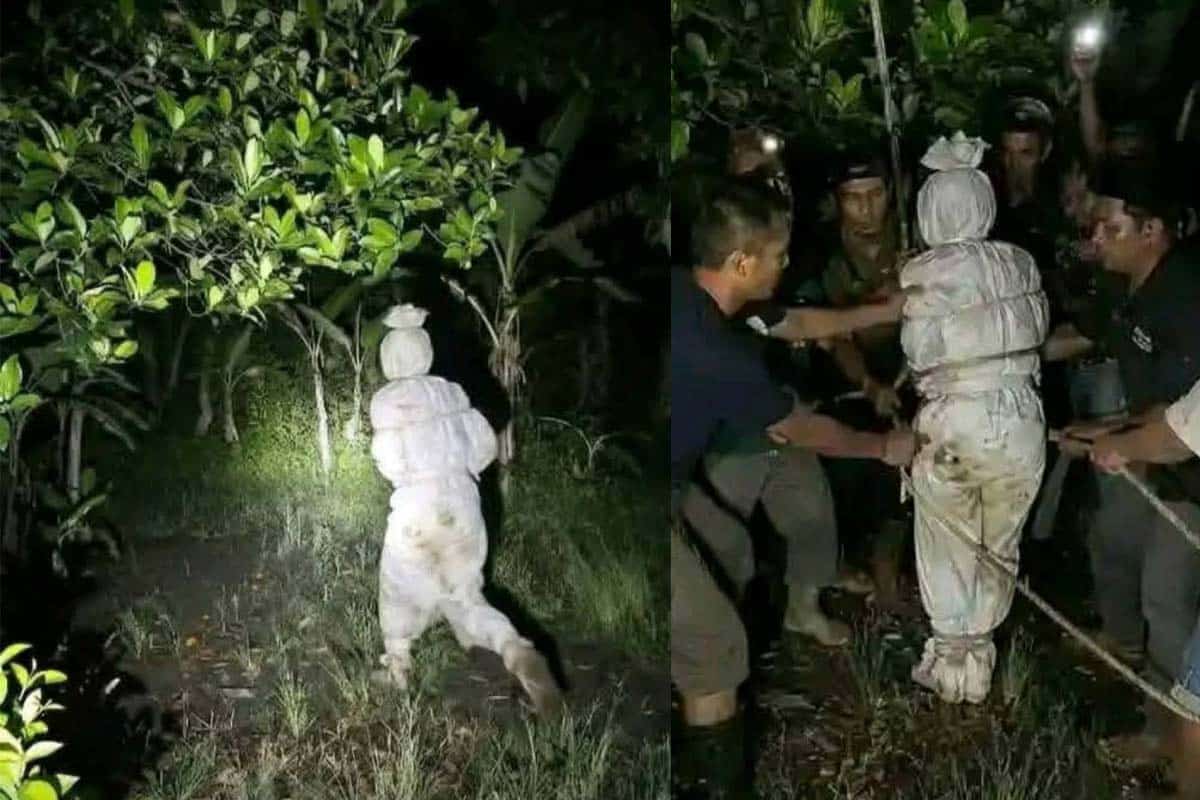 pocong jember
