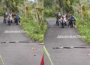 Viral Ular Nyebrang Bikin Pengendara Tertib, Warganet Bandingkan dengan Lampu Merah