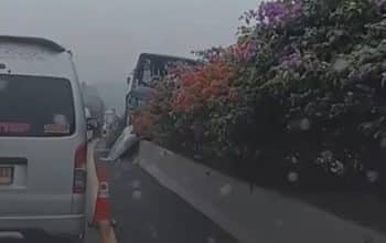 bus mgi