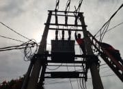 PLN UP3 Bogor Laksanakan Pemangkasan Pohon Demi Menjaga Keandalan Listrik