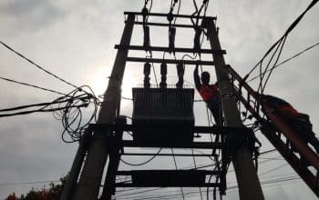 Pemangkasan Pohon Jaringan Listrik PLN UP3 Bogor