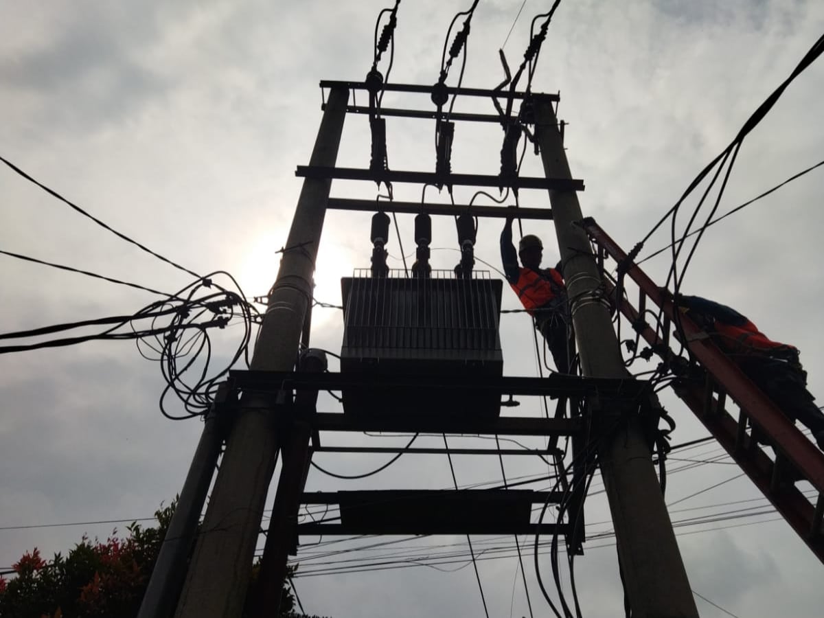 Pemangkasan Pohon Jaringan Listrik PLN UP3 Bogor