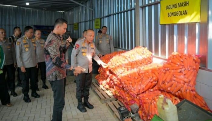 Dari Jagung ke Peternakan, Kapolda Jabar Apresiasi Inovasi Ketahanan Pangan Kelompok Tani Garut