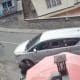 Viral Kuda Lepas Kendali di Bromo Tabrak Mobil, Netizen Ramai Khawatir Kondisinya