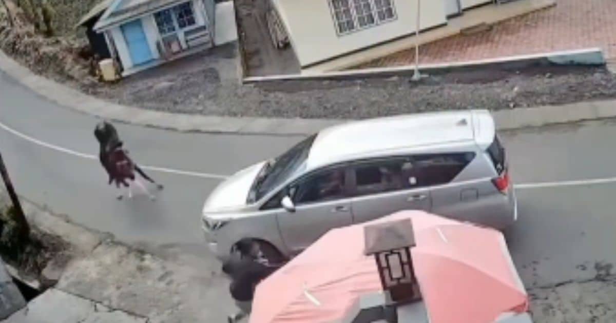 Kuda tabrak mobil di Bromo