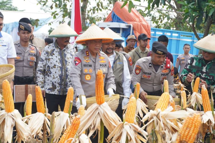 PANGAN 88