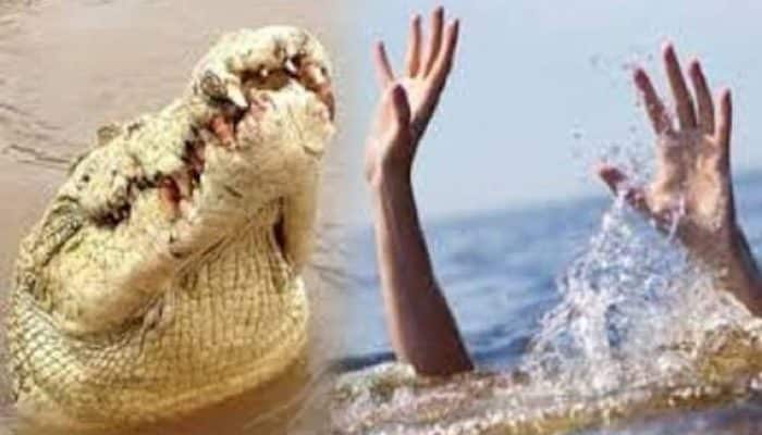 Tewas Diterkam Buaya di Pulau Peucang