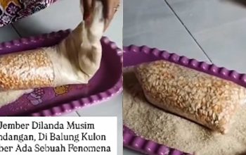 hajatan
