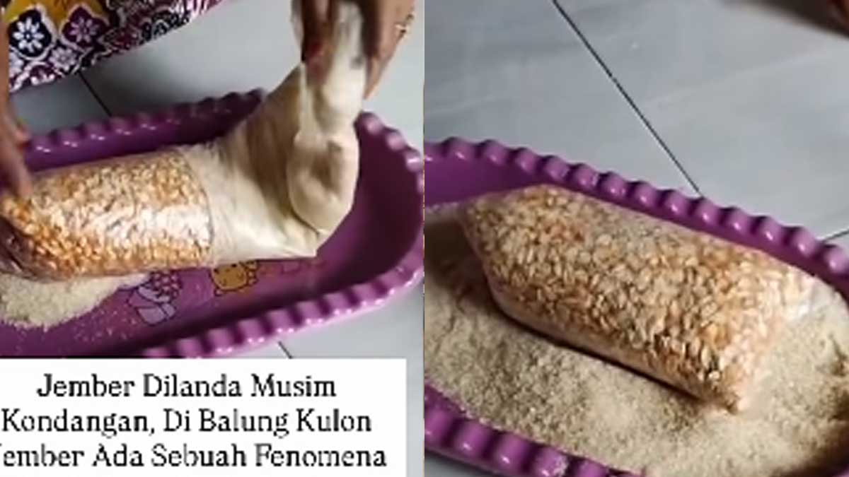 hajatan
