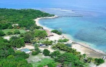 cikadupantai