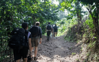 Tempat Trekking di Sentul yang Adem