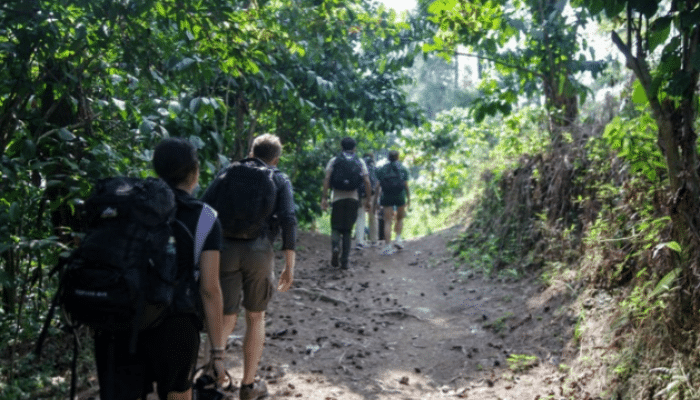 5 Tempat Trekking di Sentul yang Adem dan Menantang, Cocok untuk Liburan Akhir Pekan